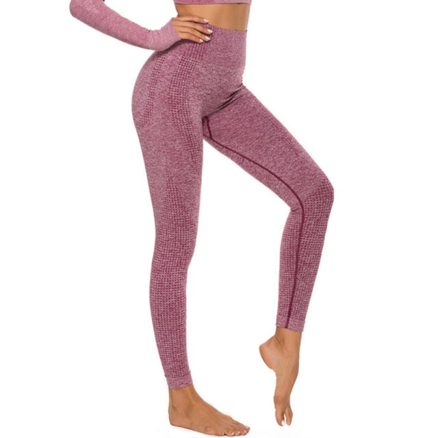 Vinröd Enfärgade Seamless Mesh Yogatights Med Hög Midja